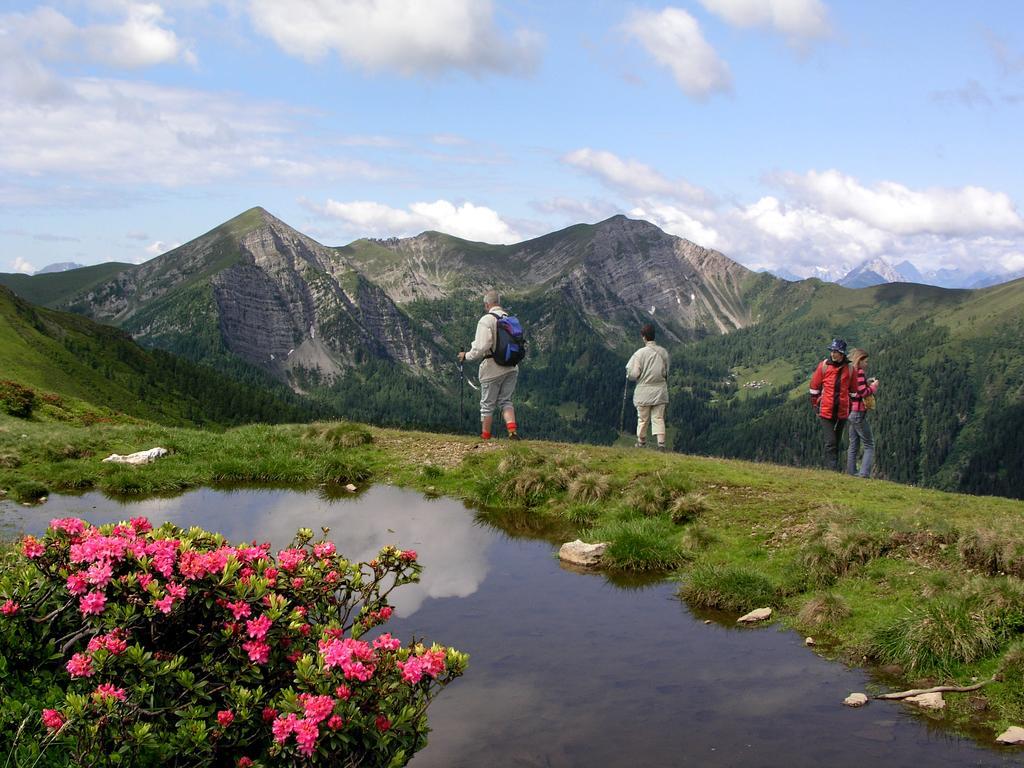 Ferienhaeuser Familie Hofer Stockenboi Weissensee Buitenkant foto